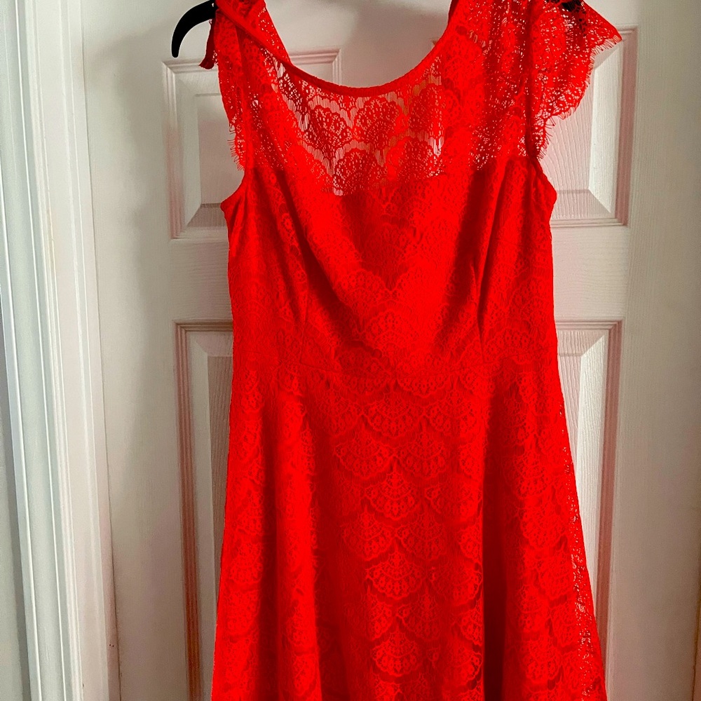 Lace skater dress